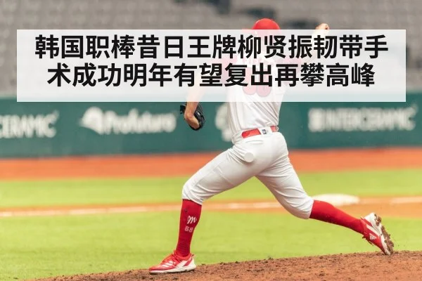 韩国职棒昔日王牌柳贤振韧带手术成功明年有望复出再攀高峰